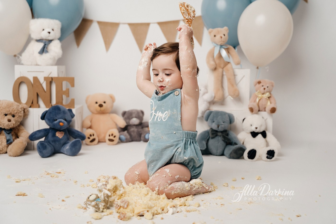 Teddy bear cake smash session. Newborn and family photographer. Hills District. Sydney