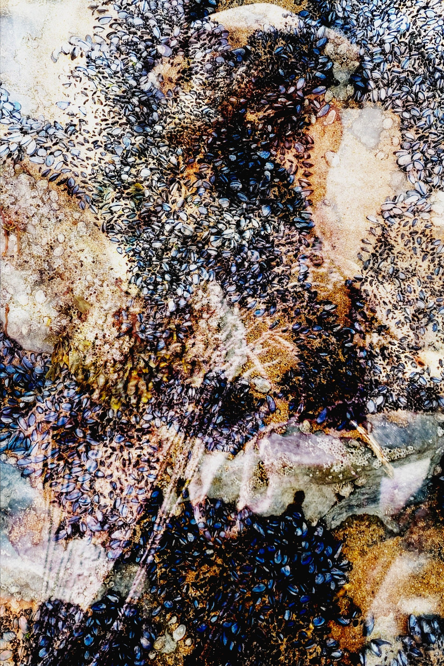 Проекти. Фотограф Оксана Ляшенко Дніпро Україна Oksain