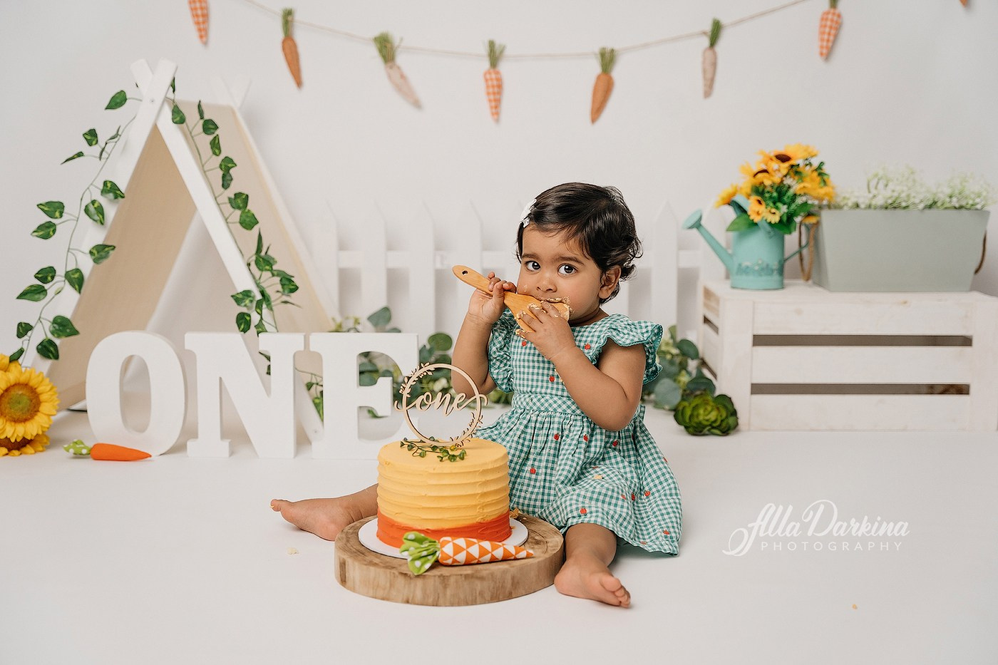 First birthday celebration. Newborn and family photographer. Hills District. Sydney