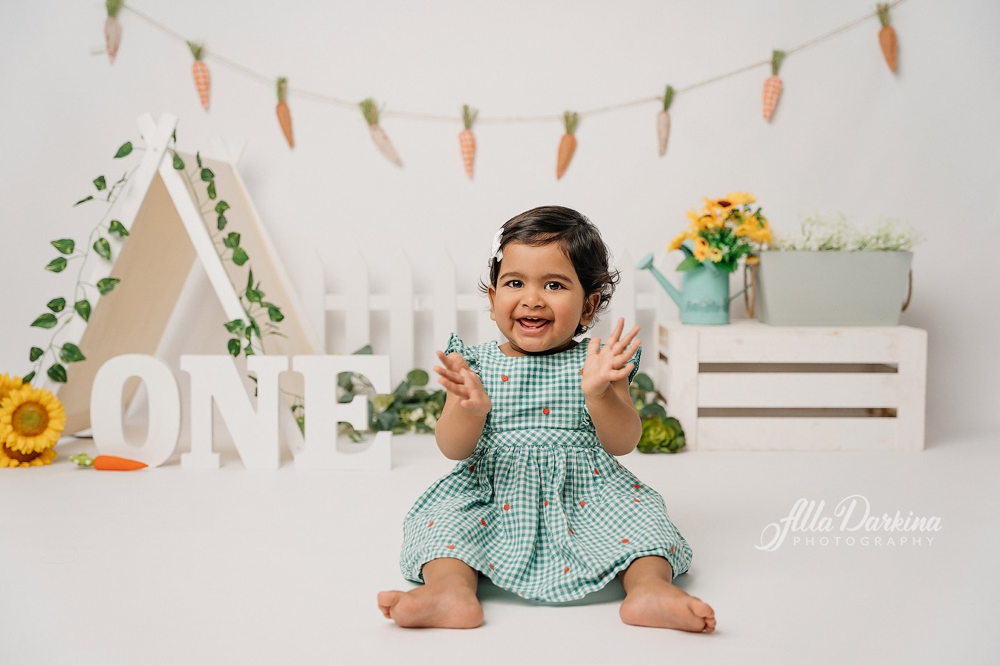 First birthday celebration. Newborn and family photographer. Hills District. Sydney