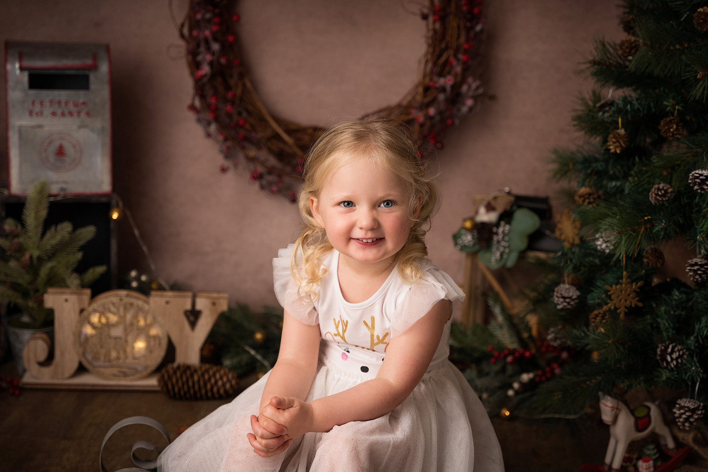 Christmas mini sessions 2025| Sydney. Newborn and family photographer. Hills District. Sydney
