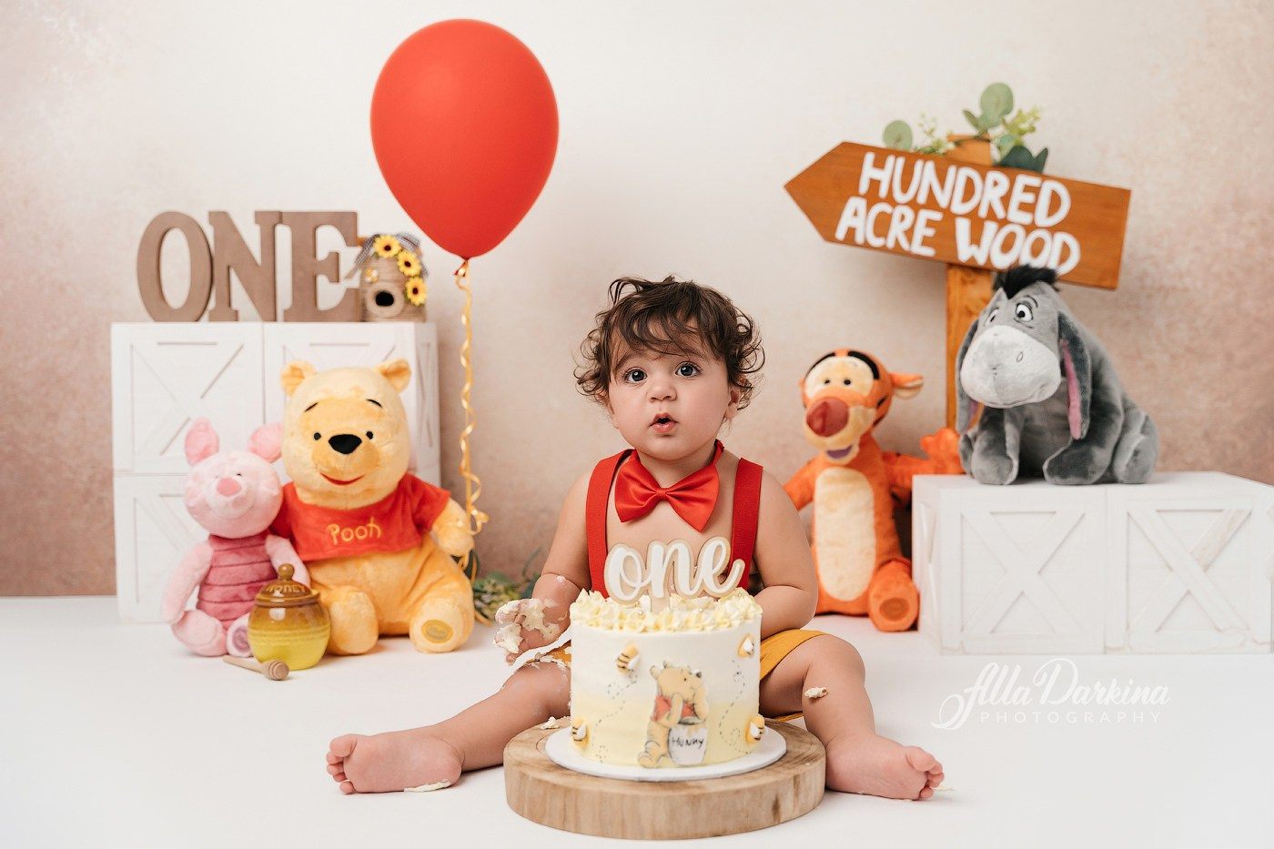 Winnie The Pooh cake smash session. Newborn and family photographer. Hills District. Sydney