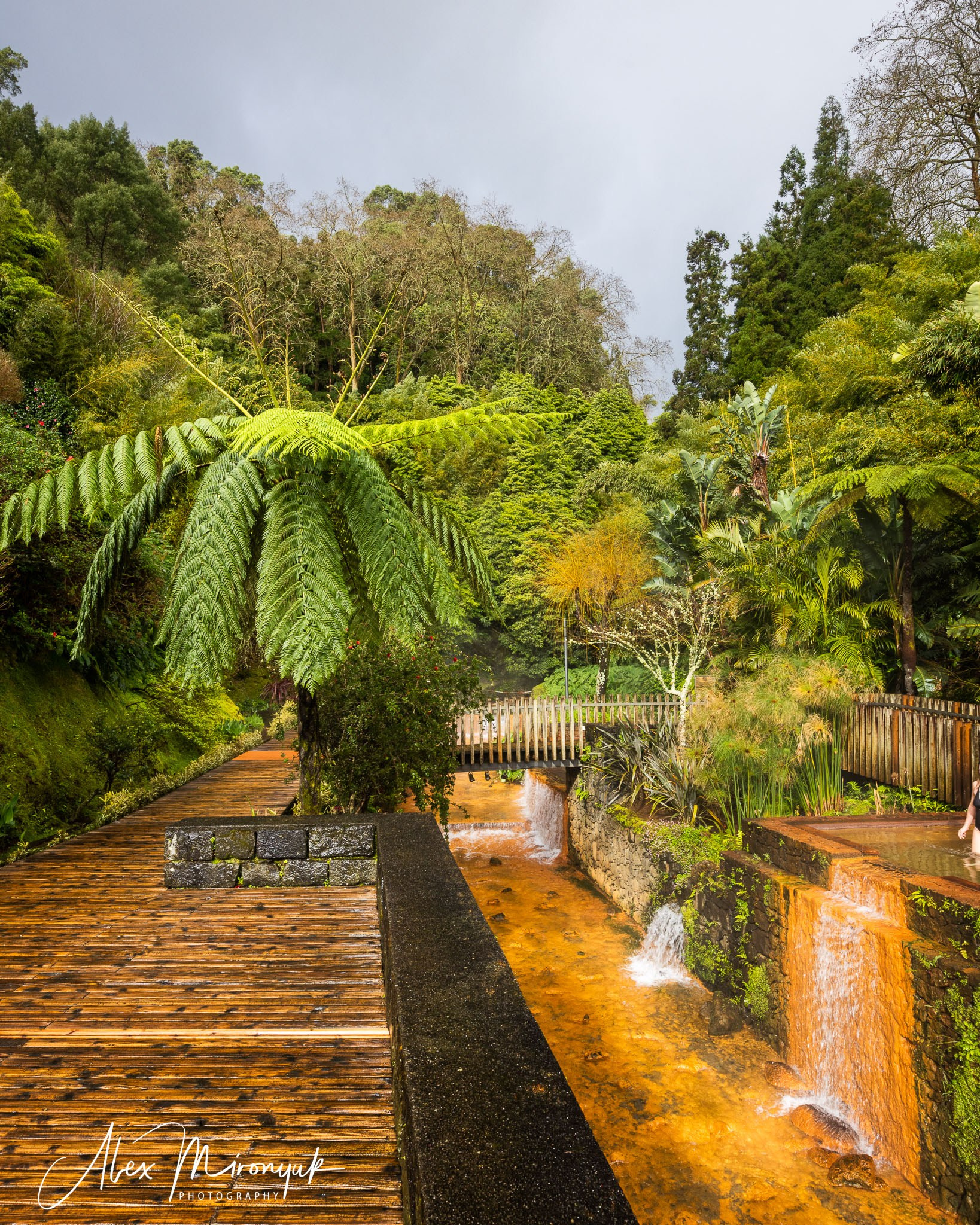 Azores And Madeira. Alex Mironyuk Photography