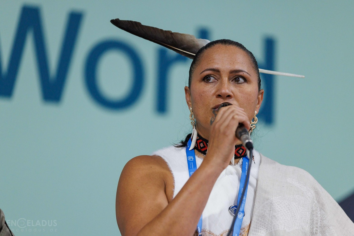 Conferences. Photographer in Baku Kamran Enceladus