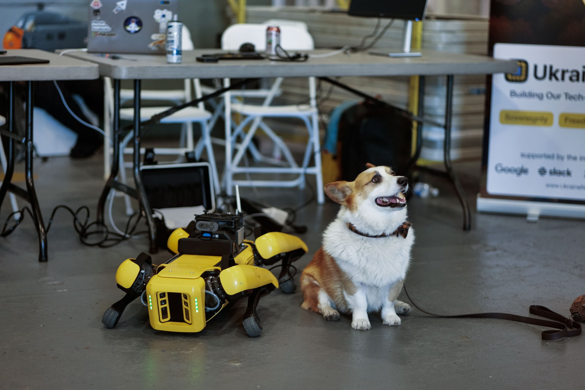 Events. Daniel Vegera — Artistic & Business Photography in San Francisco