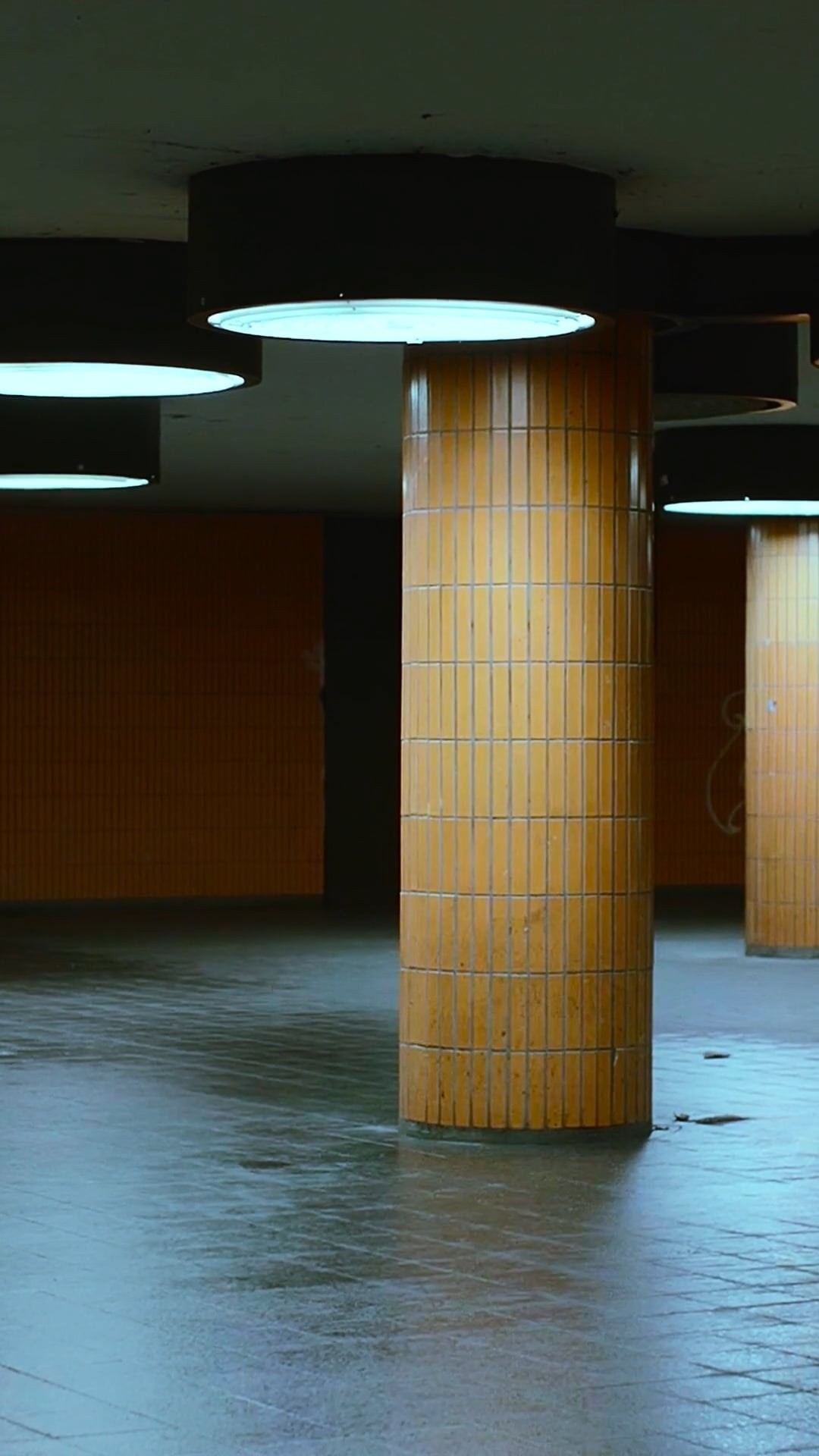 Video. Maria Bogachek Photography