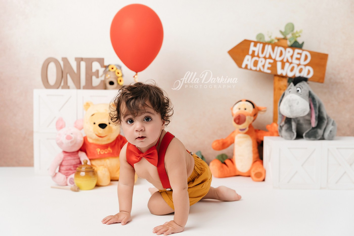 Winnie The Pooh cake smash session. Newborn and family photographer. Hills District. Sydney