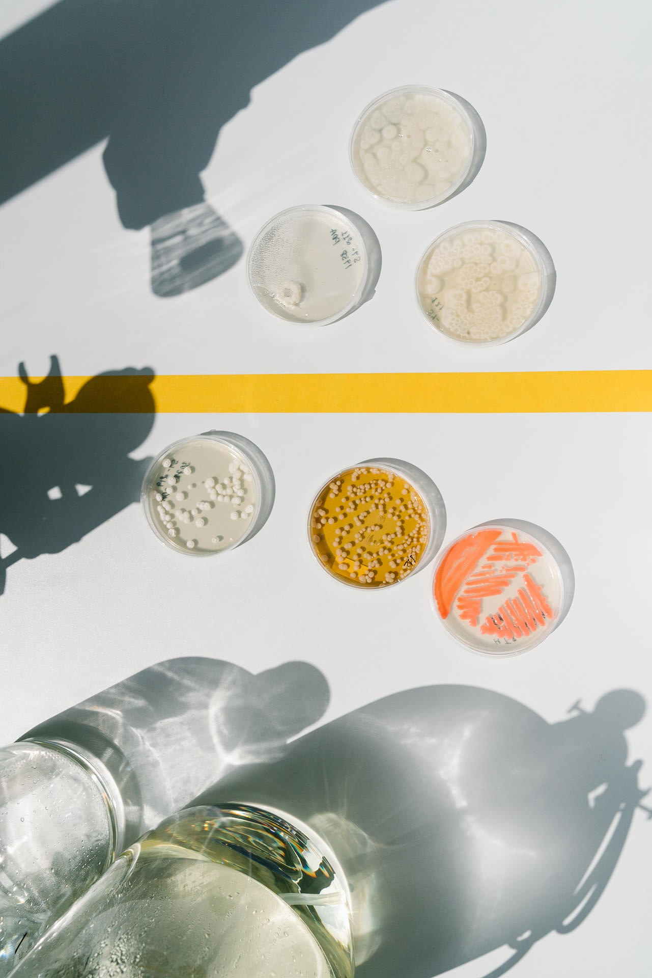 Corporate photographer for brand-aligned portraits and content creation. Websites, LinkedIn, PR and ads. Fast and consistent delivery. Inna Zaytseva Photography | Photographer in Munich | Content Creation