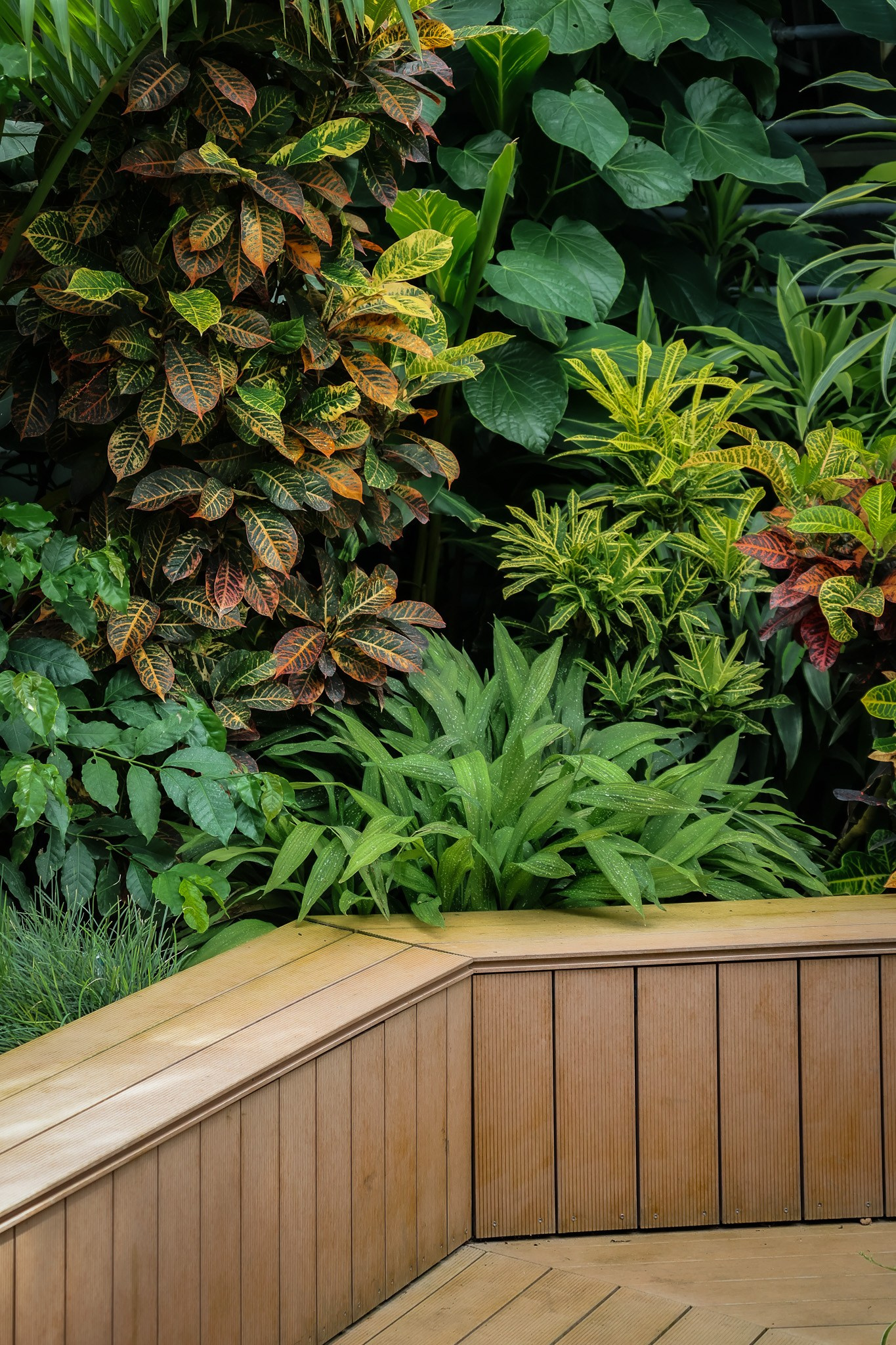 Kagran School Gardens