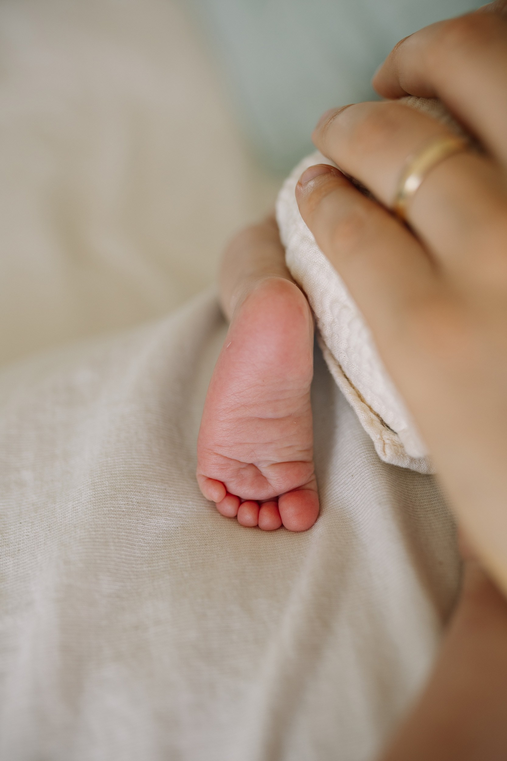 Benji’s First Days | Bay Area Newborn & Family Photography. Maternity, newborn photographer in the Bay Area|Iryna Rakivnenko