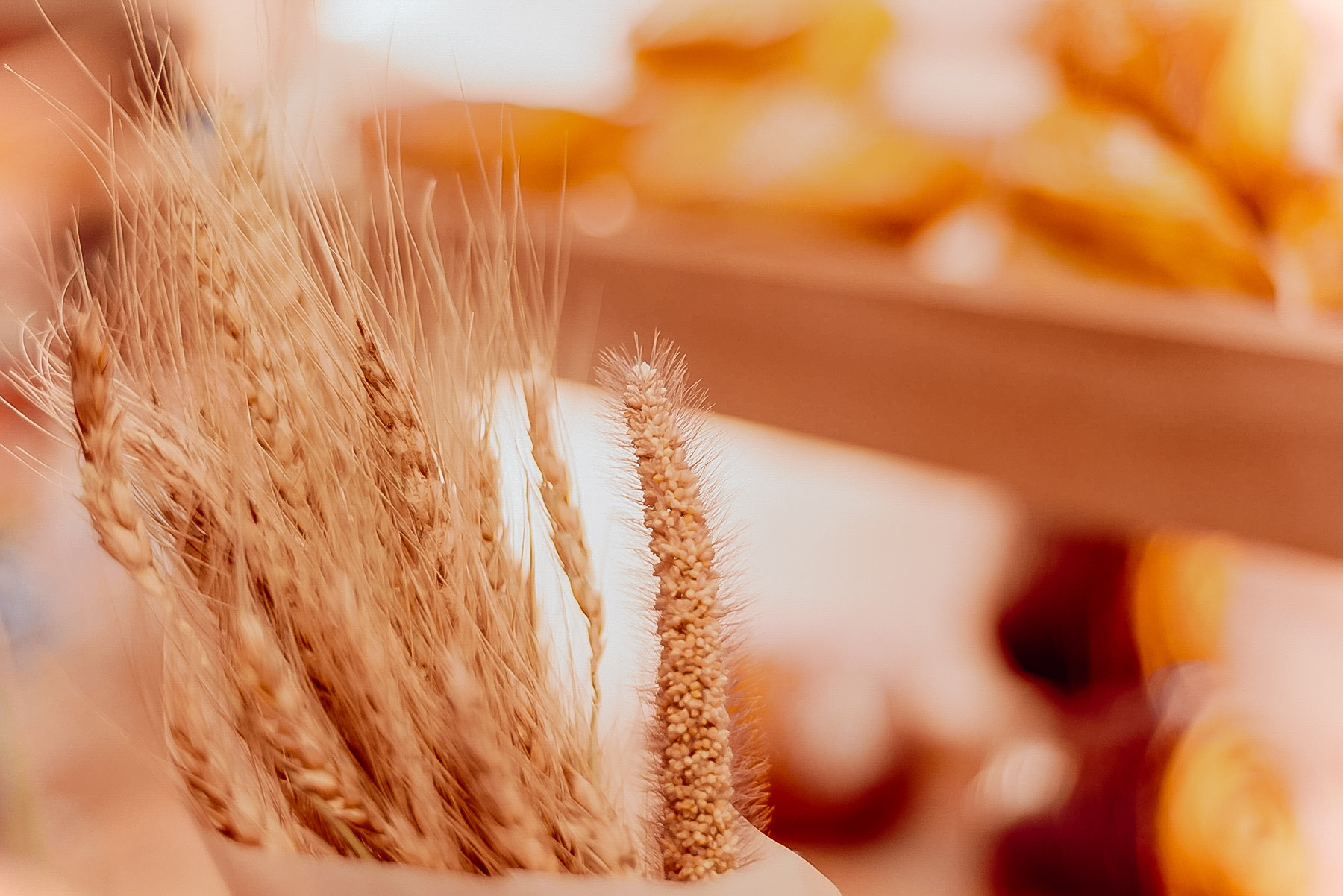 CAFÉ. MARIA VALUEVA Photographer in Nice, Cannes, Monaco, France, Europe, Istanbulm Turquie