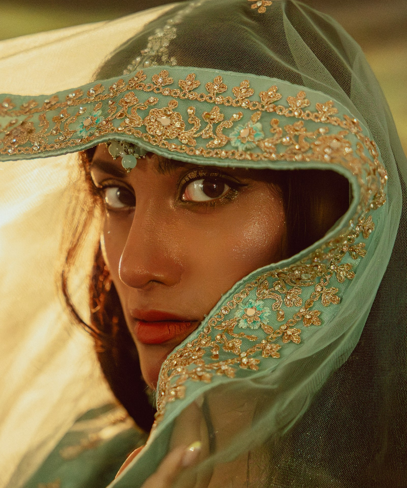 Dream Portrait in Traditional Indian Attire — Studio Photoshoot in Rotterdam. Romantic & Soulful Photography by Natalia Olhova in Rotterdam