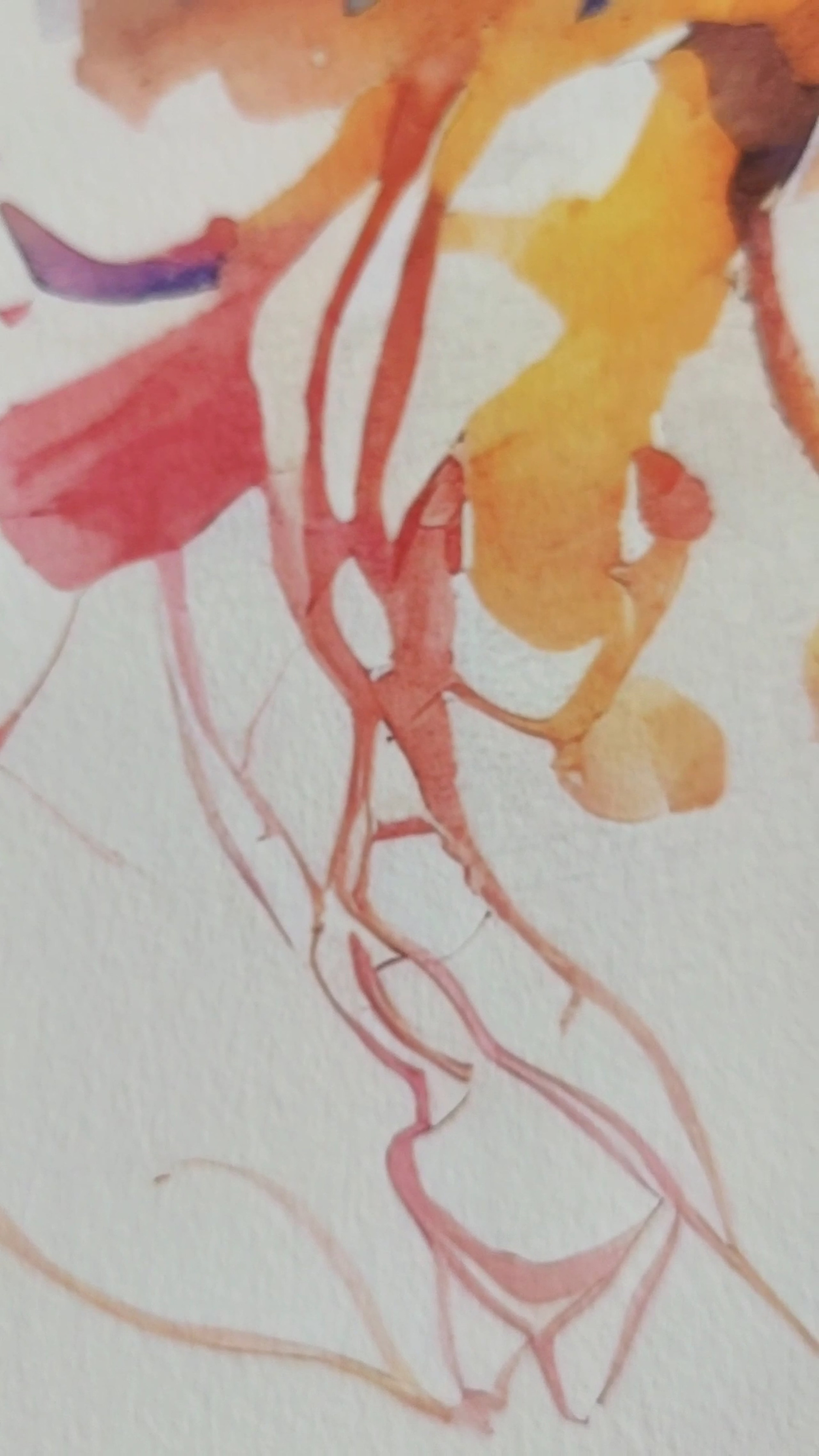 Video of printed artworks. Lolly Shine. Contemporary digital artist