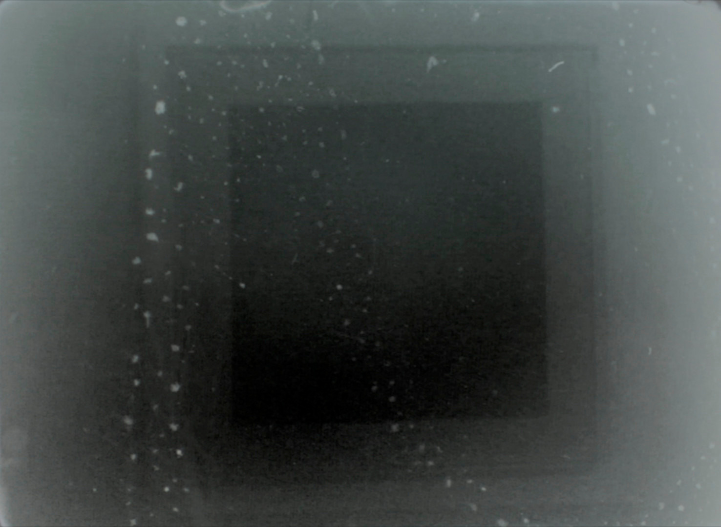 Dislocations. Singularity Film