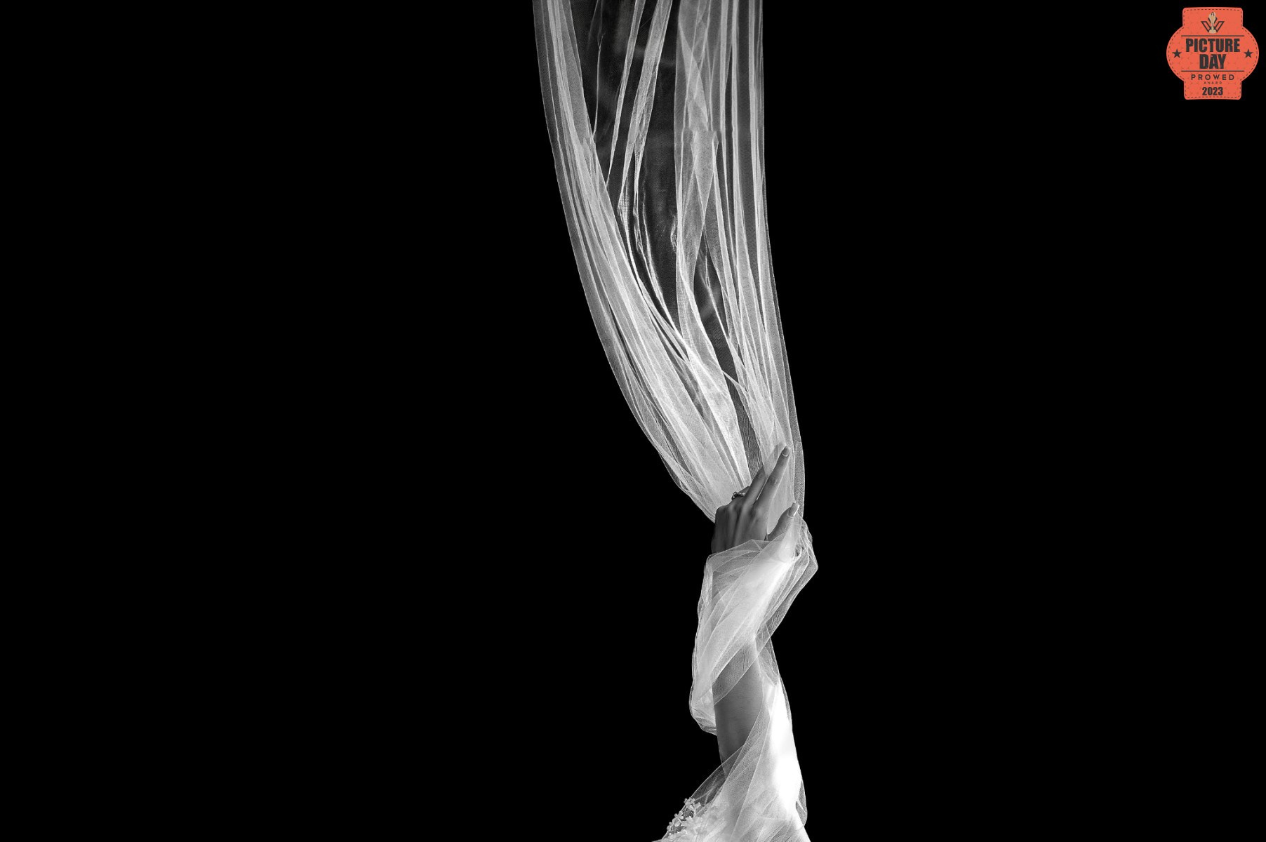 detail-bride-floral-hairpiece-closeup