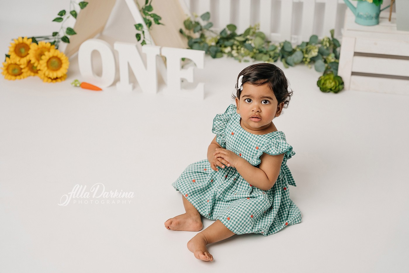 First birthday celebration. Newborn and family photographer. Hills District. Sydney