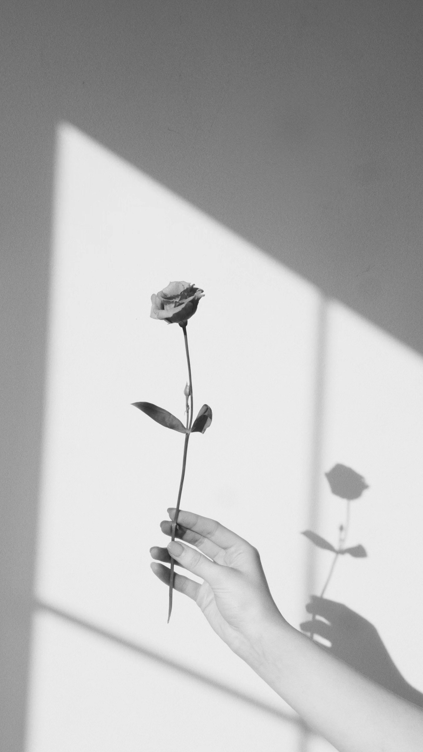 Dienstleistungen. Anastasia Kurbanov Photography