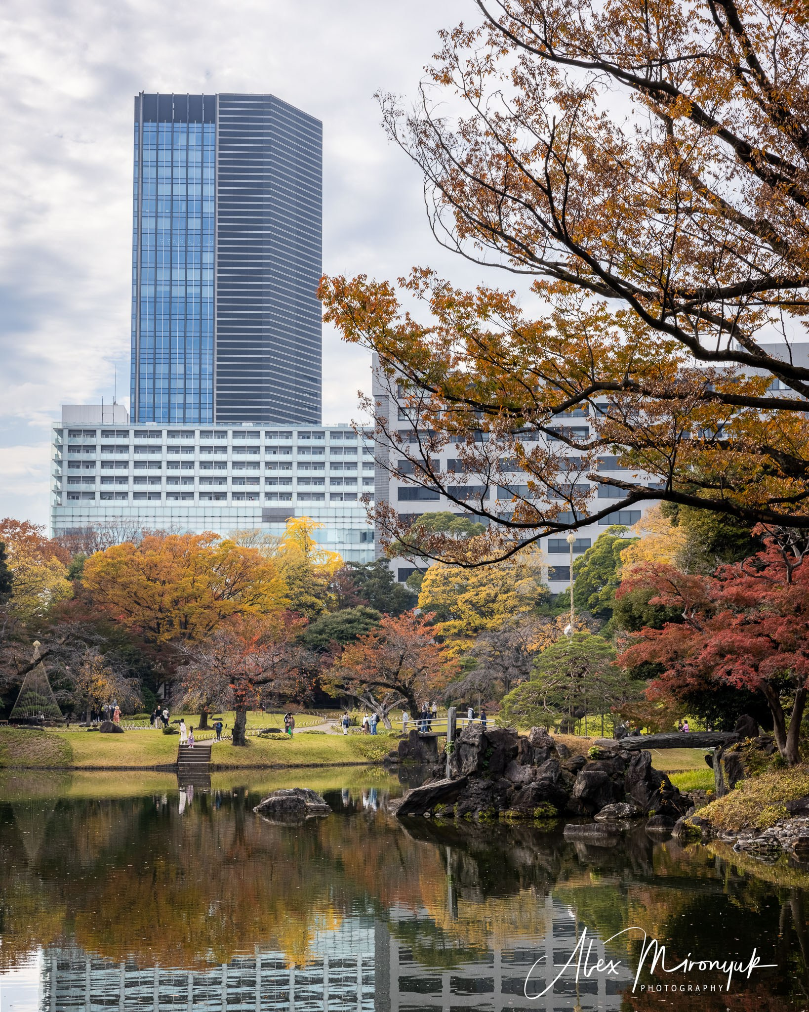 Autumn Colors of Japan. Pet, Senior, Landscape, portrait studio, photographer in Miami and Sou
