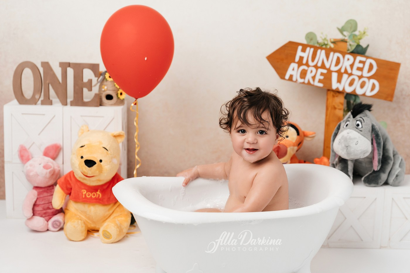 Winnie The Pooh cake smash session. Newborn and family photographer. Hills District. Sydney