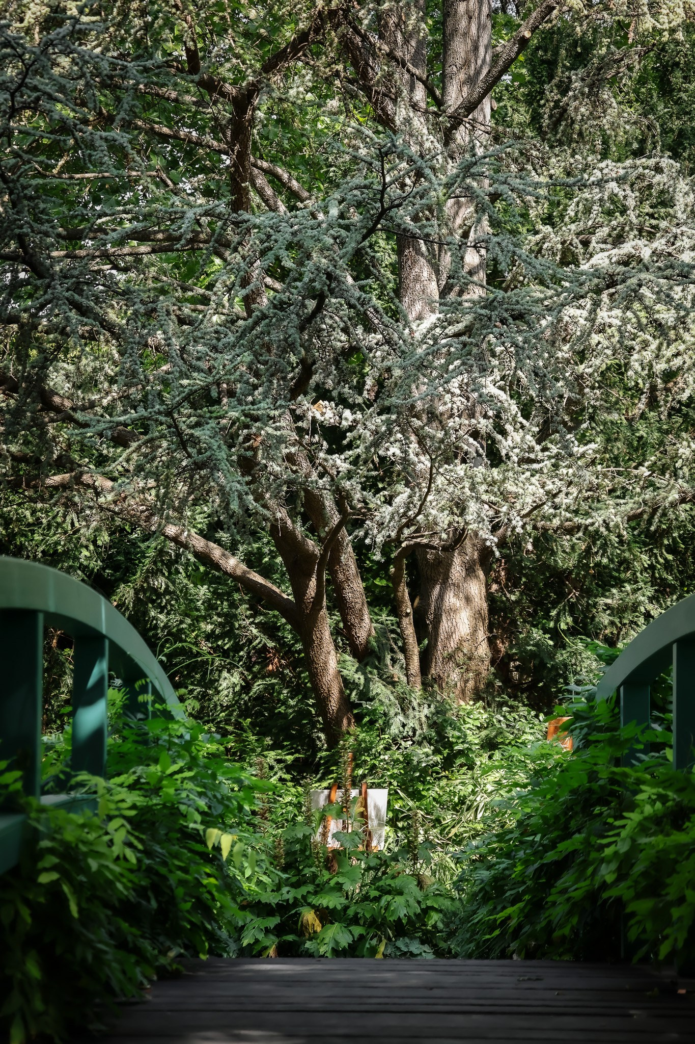 Kagran School Gardens