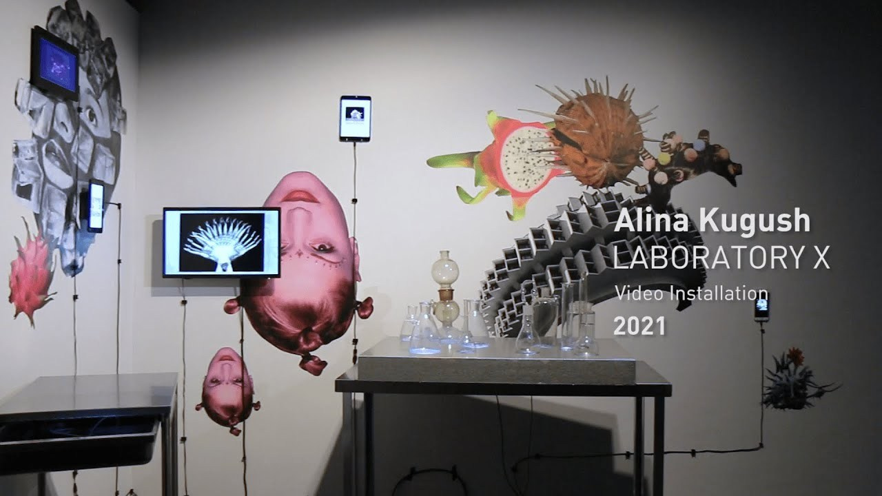 Laboratory X. Alina Kugush
