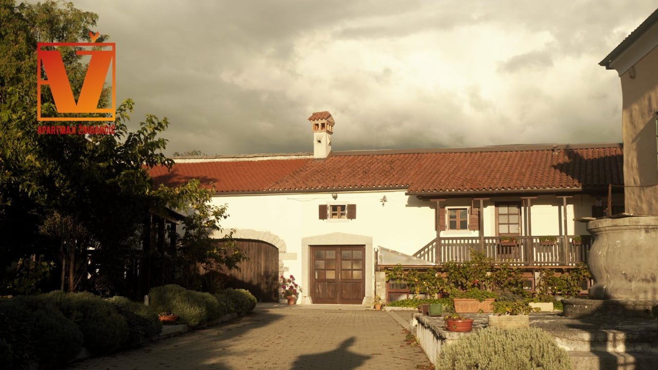 Projekti. Фотограф и видеограф Мария Бортякова из Словении: событийная, портретная и видеосъемка по всей Словении