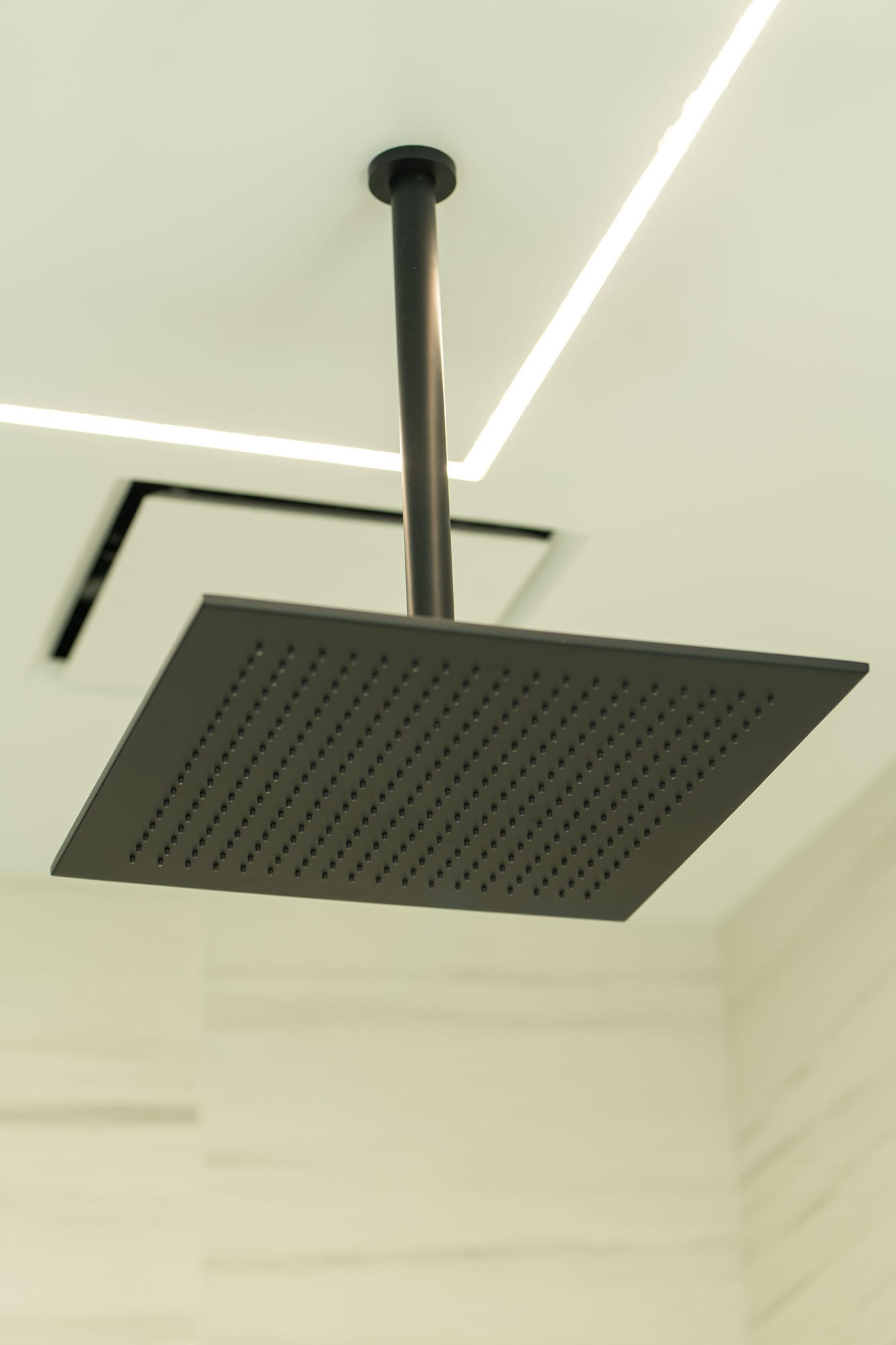 Events. Daniel Vegera — Artistic & Business Photography in San Francisco