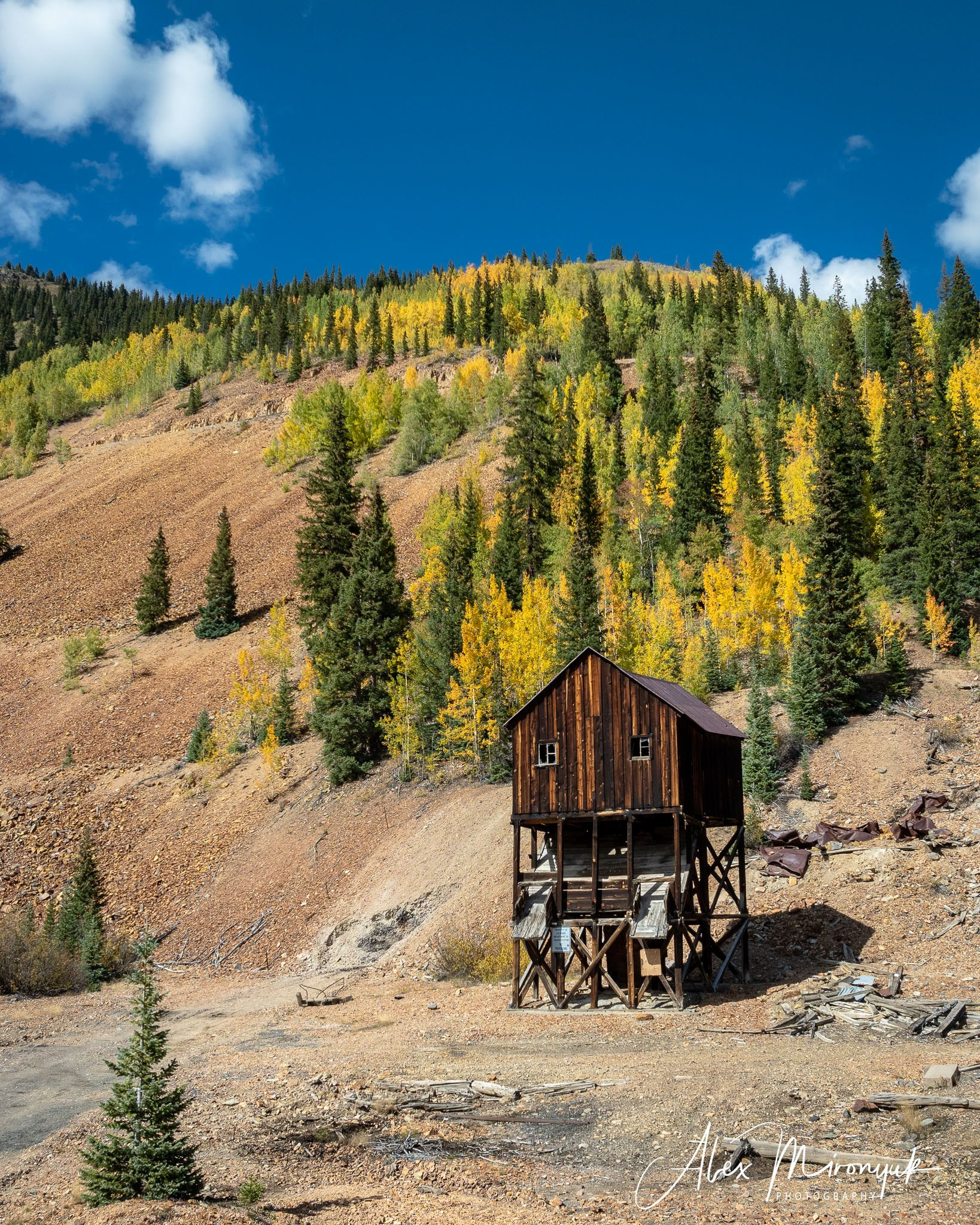Fall Colors Of Colorado. Pet, Senior, Landscape, portrait studio, photographer in Miami and Sou