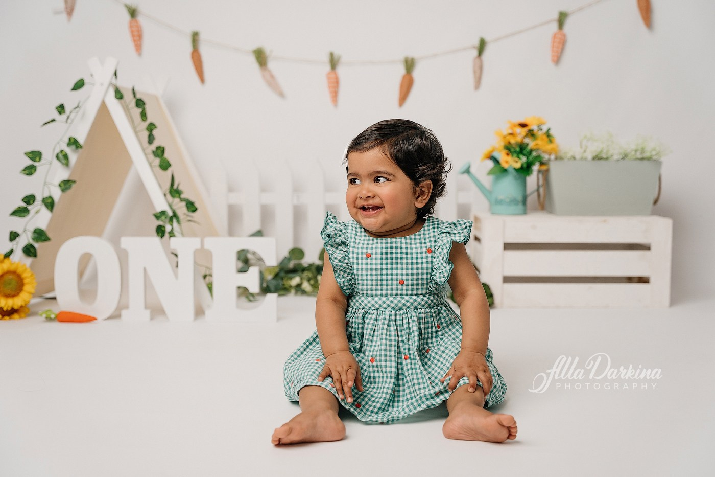 First birthday celebration. Newborn and family photographer. Hills District. Sydney