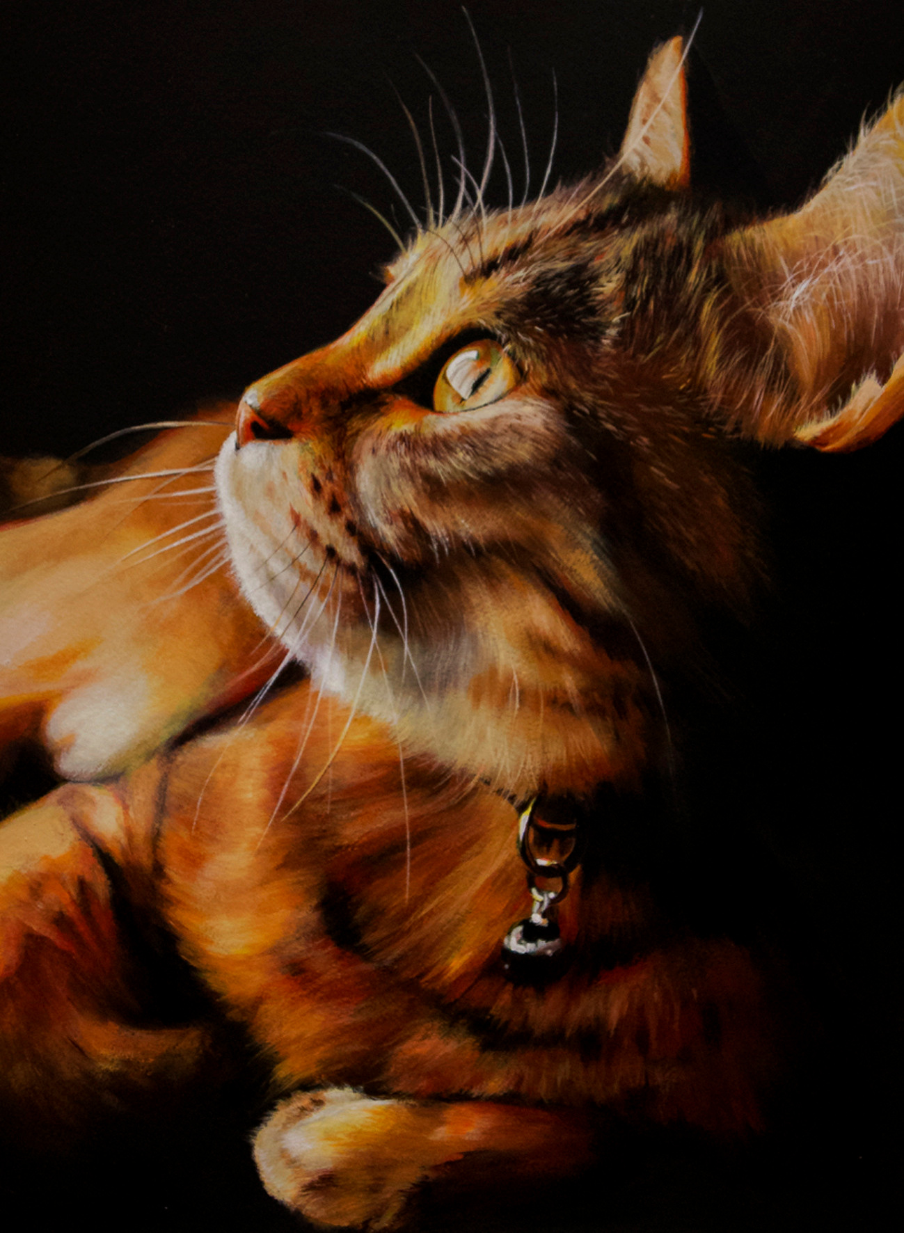 Dieren. Aljona art - KUNST in Overijsel, Zwolle