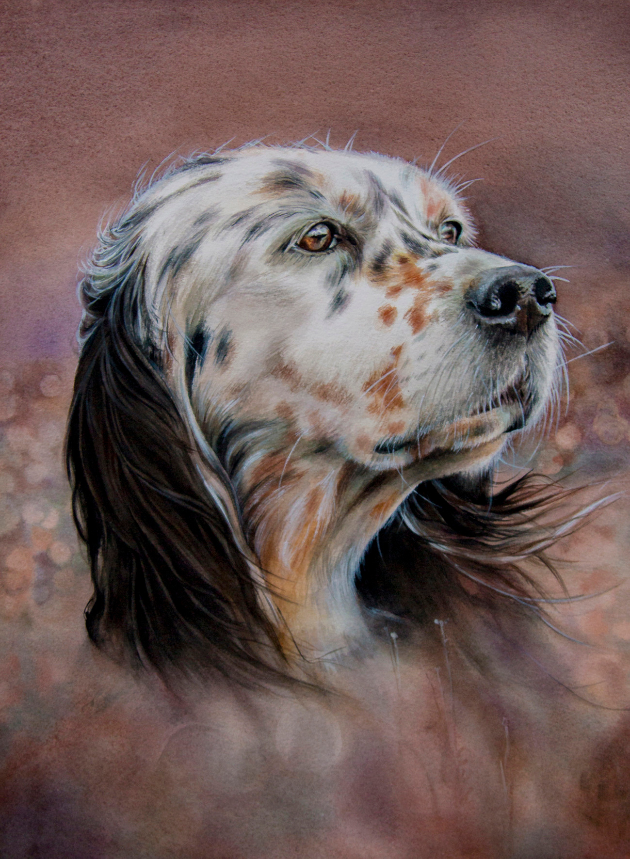 Dieren. Aljona art - KUNST in Overijsel, Zwolle