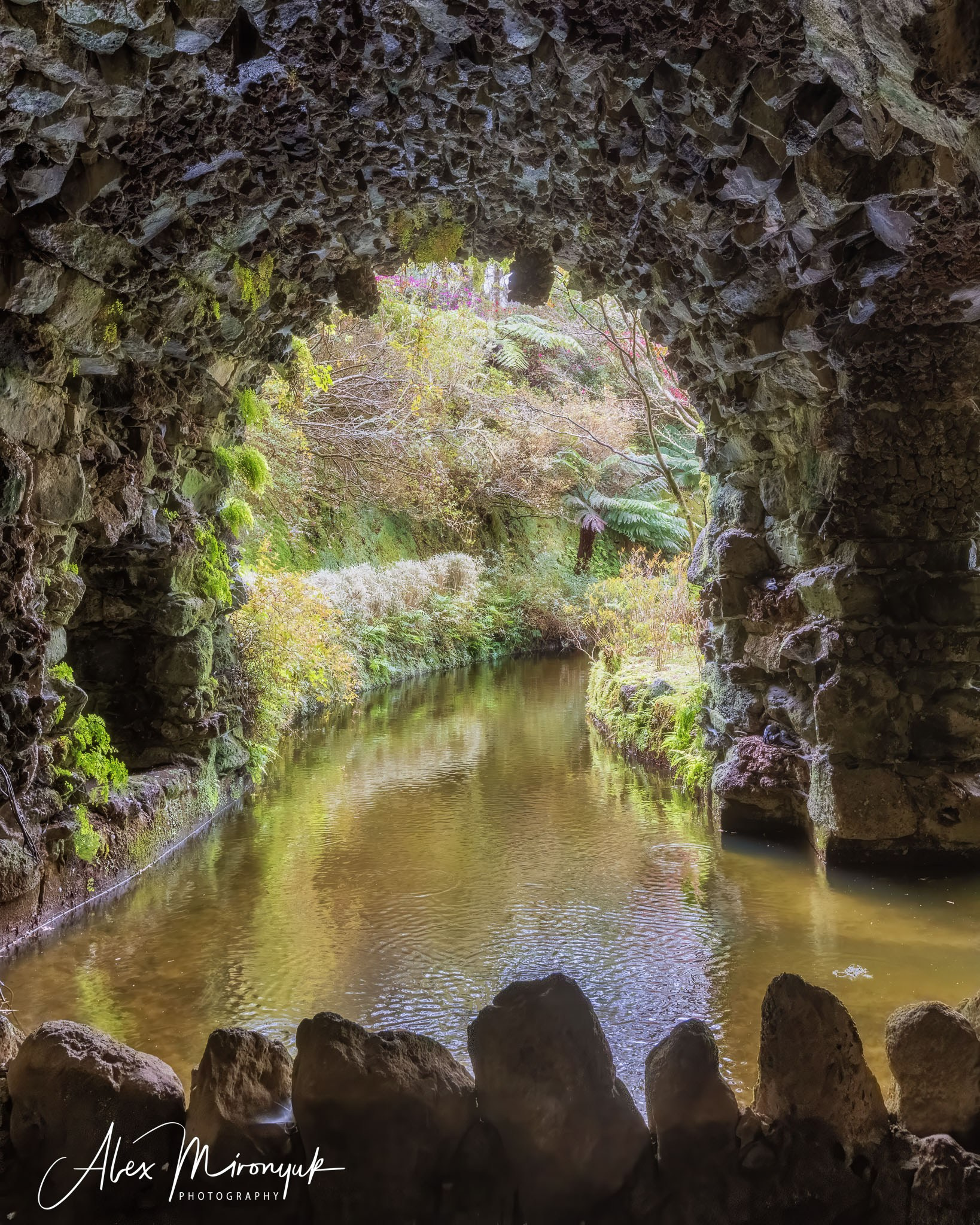 Azores And Madeira. Alex Mironyuk Photography