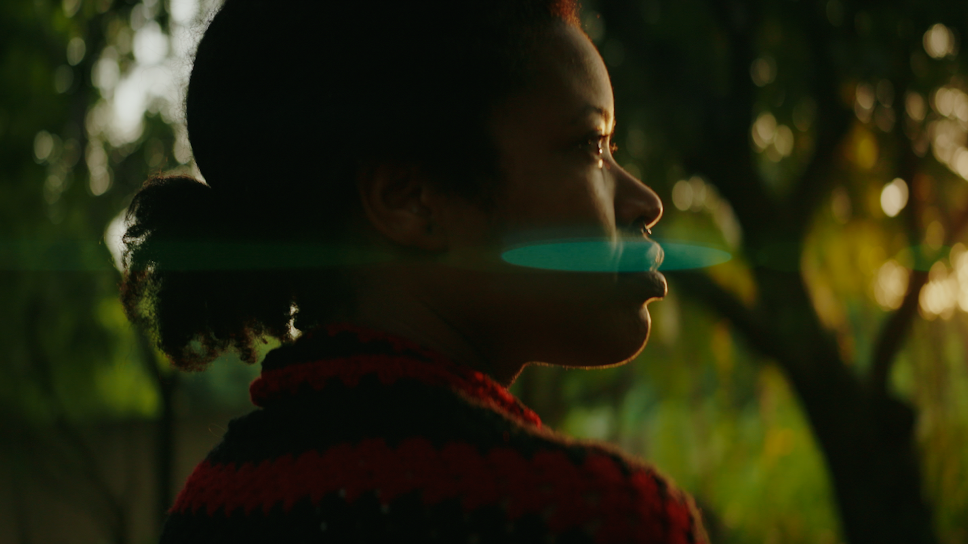 Documentary. Maison de production cinématographique Shadow Motion Pictures