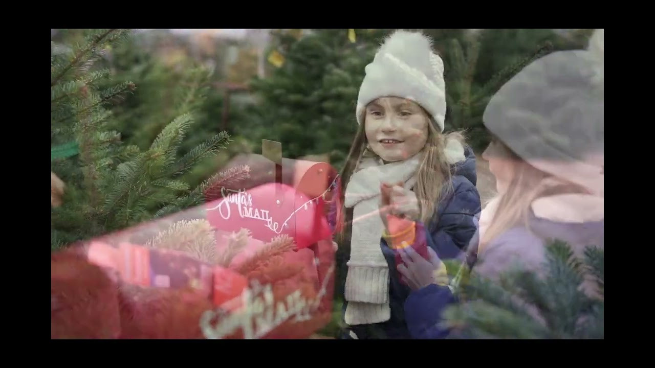 Video. Семейный, детский и женский фотограф в Германии, Трире