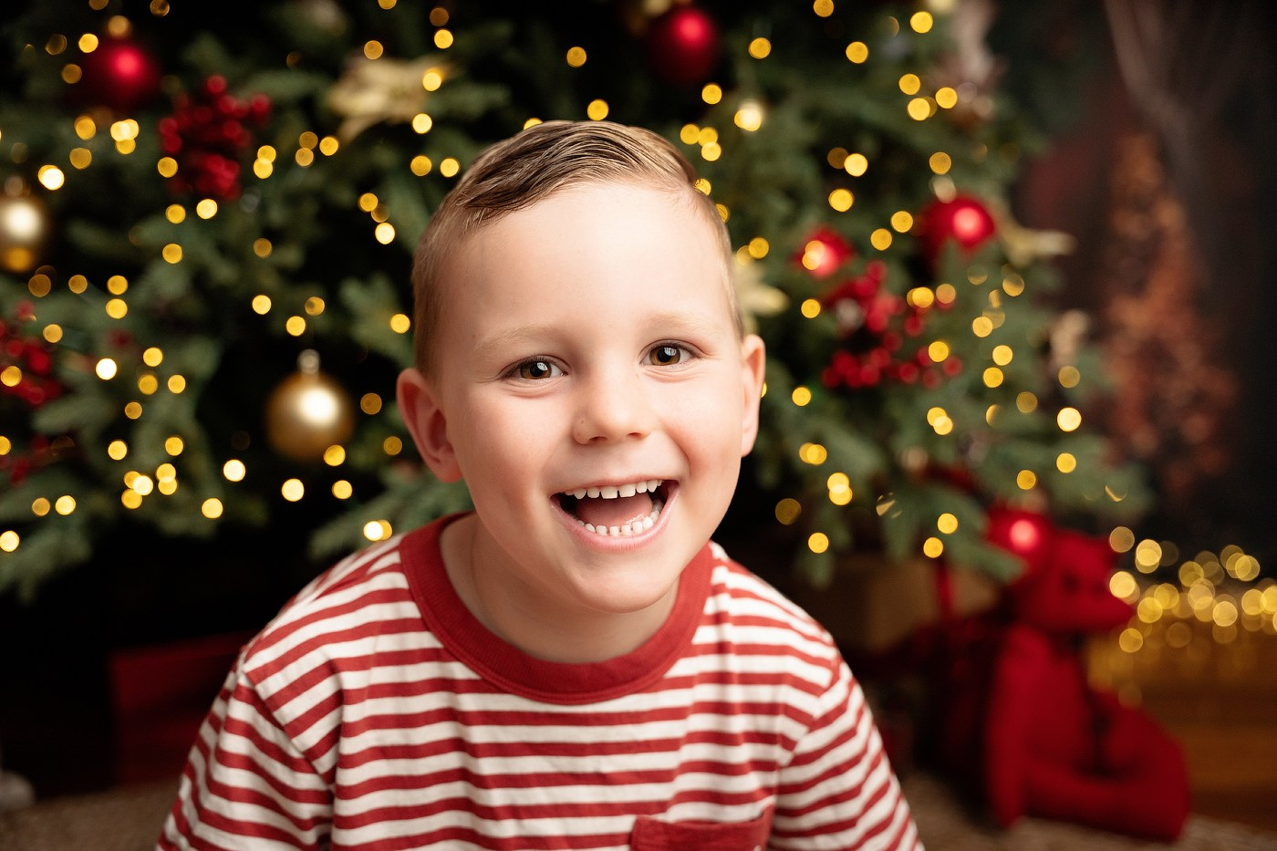 Christmas mini sessions 2025| Sydney. Newborn and family photographer. Hills District. Sydney