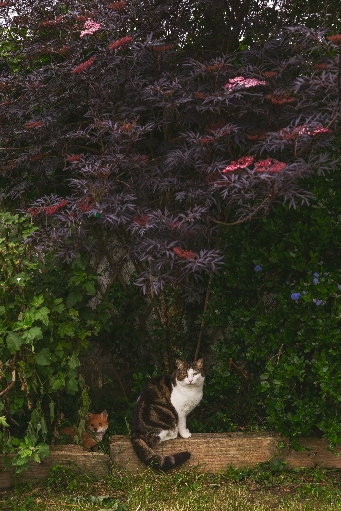Ali’s First Communion: A Family Gathering. Giandamorgana