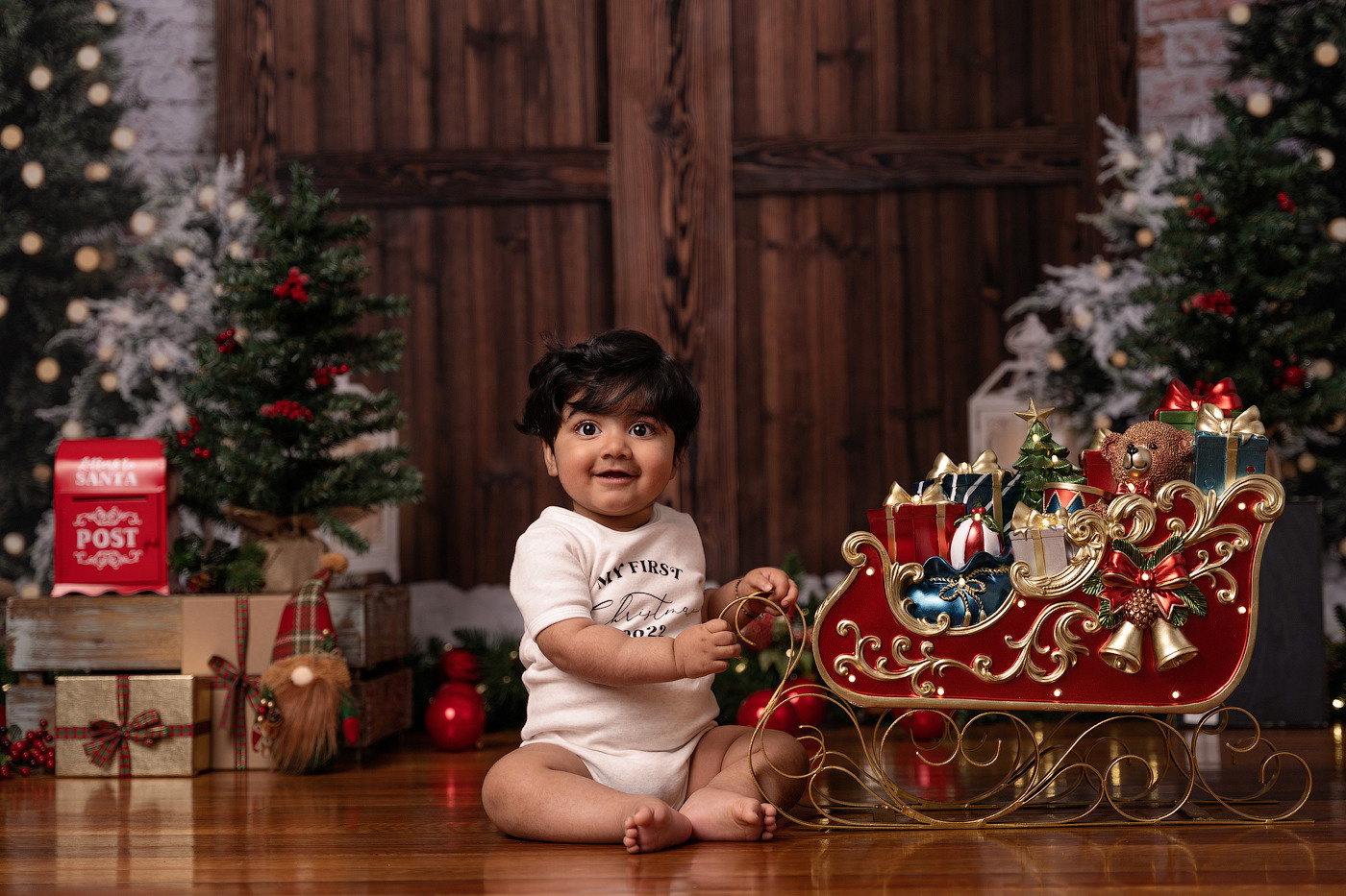 Christmas mini sessions 2025| Sydney. Newborn and family photographer. Hills District. Sydney