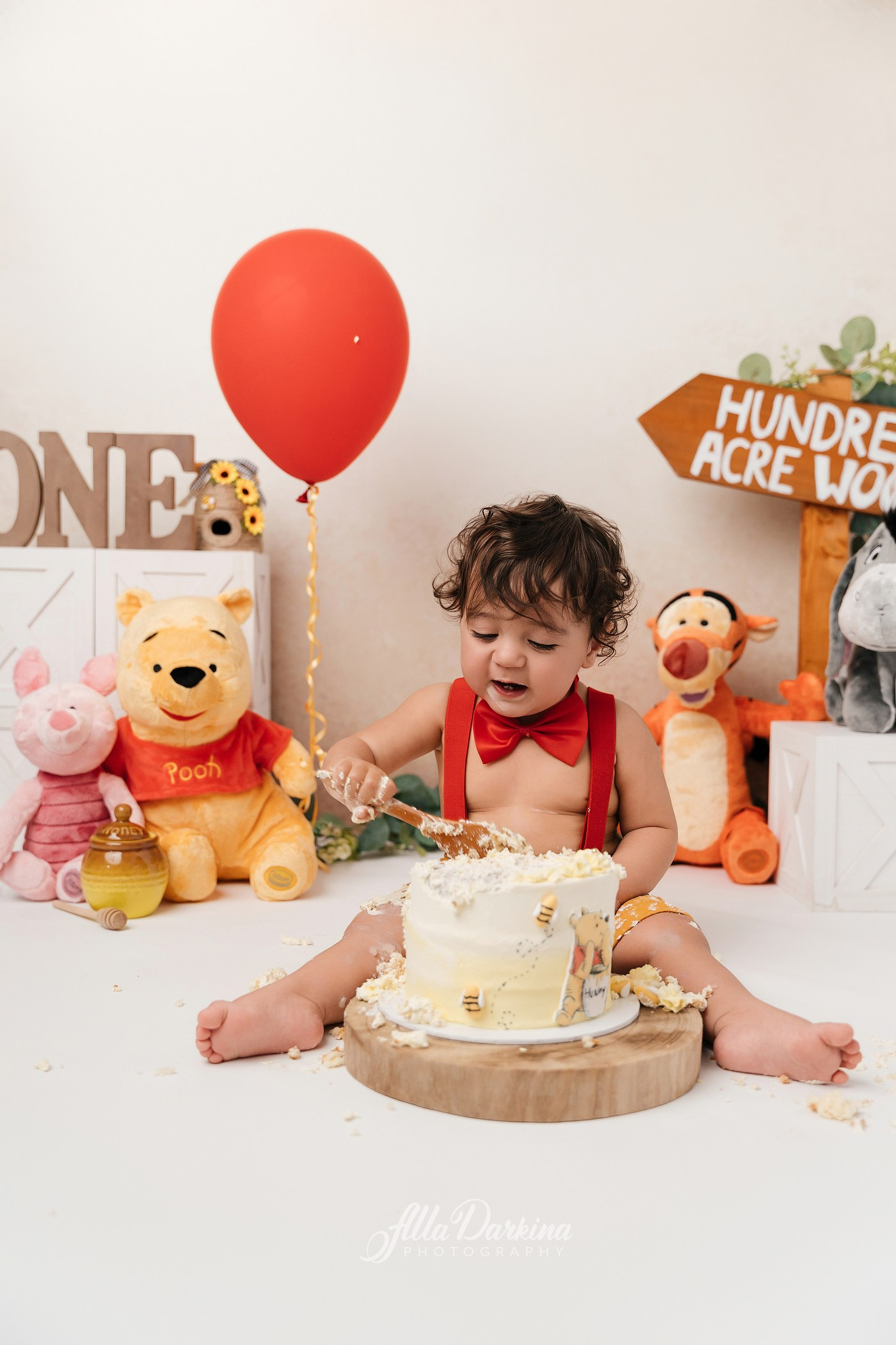Winnie The Pooh cake smash session. Newborn and family photographer. Hills District. Sydney