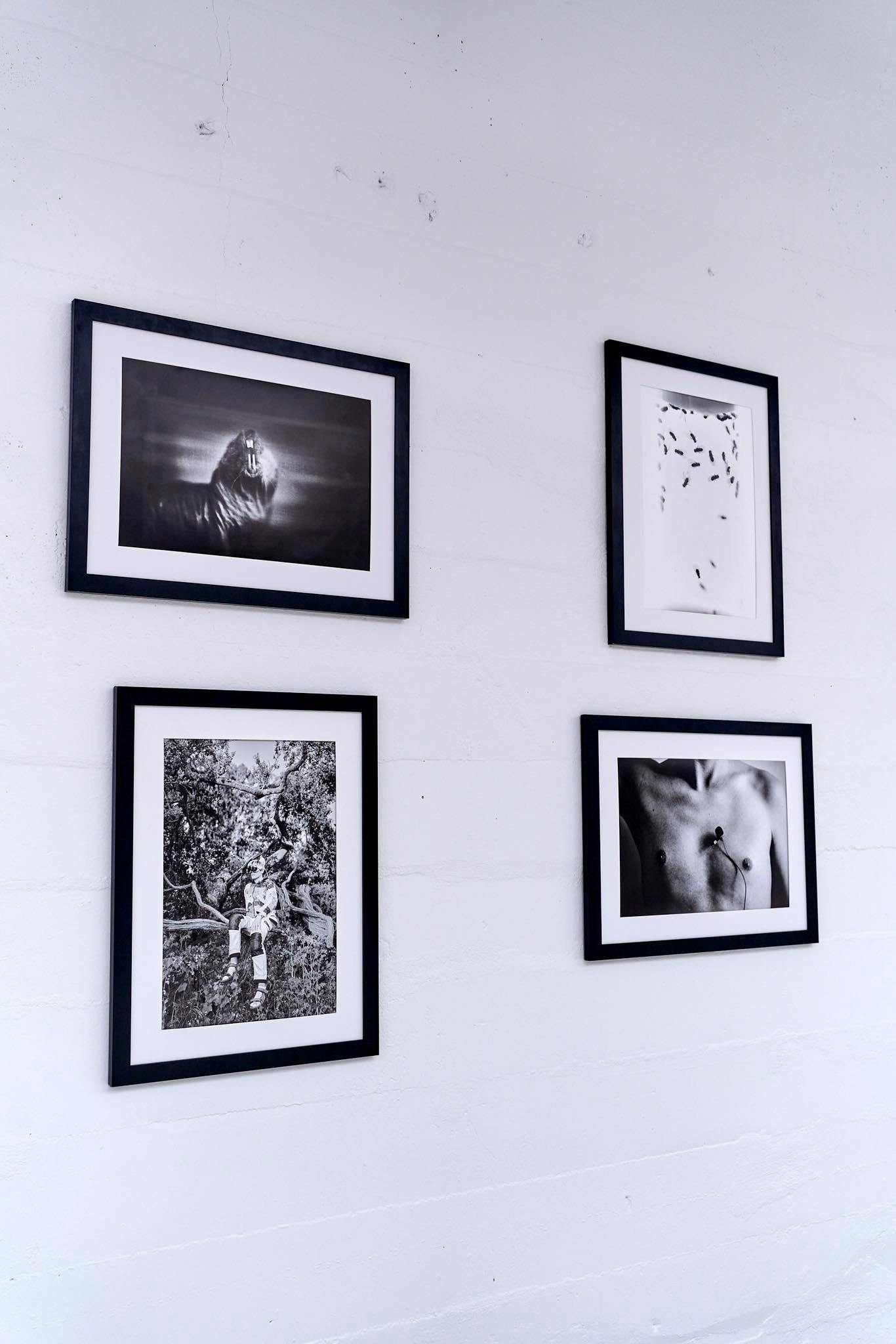 Immortality. GLISH ART — Timofey Glinin & Anastasia Shubina