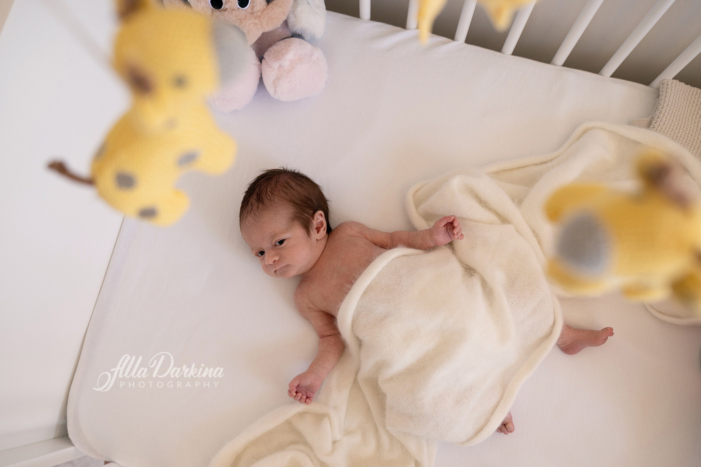 Newborn session price guide. Newborn and family photographer. Hills District. Sydney