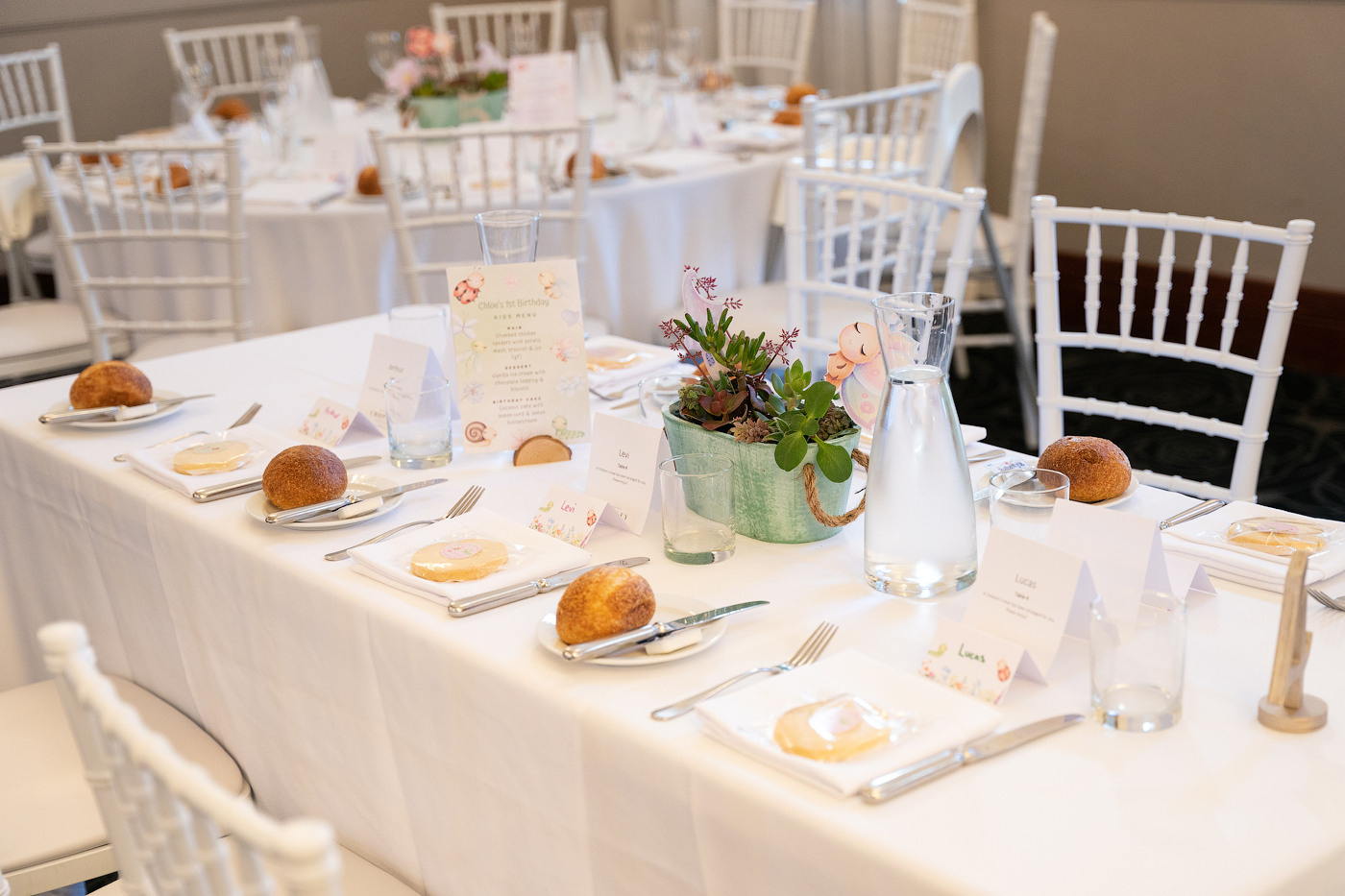 Party photography price guide. Newborn and family photographer. Hills District. Sydney