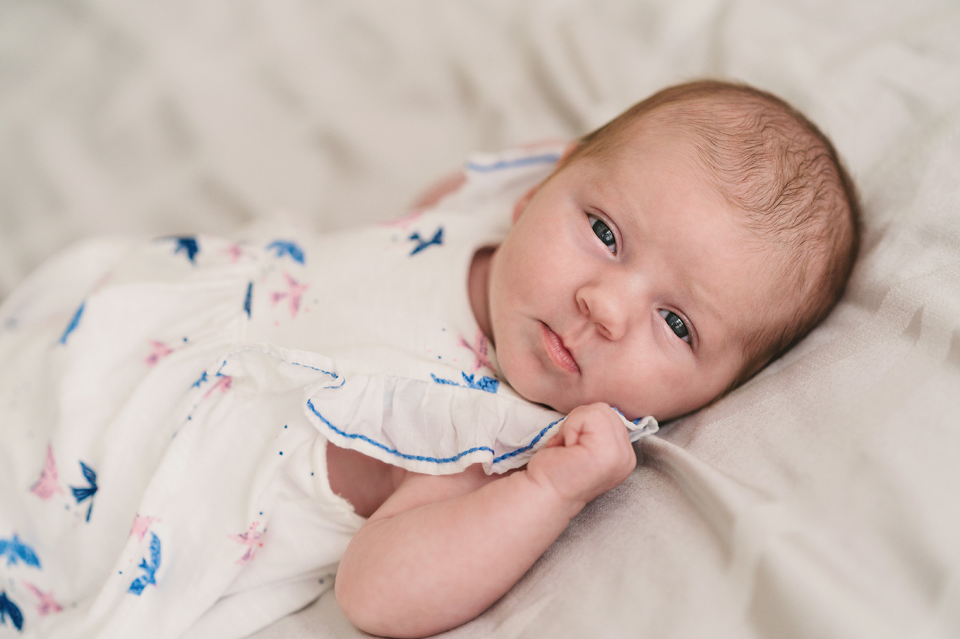 Newborn session price guide. Newborn and family photographer. Hills District. Sydney