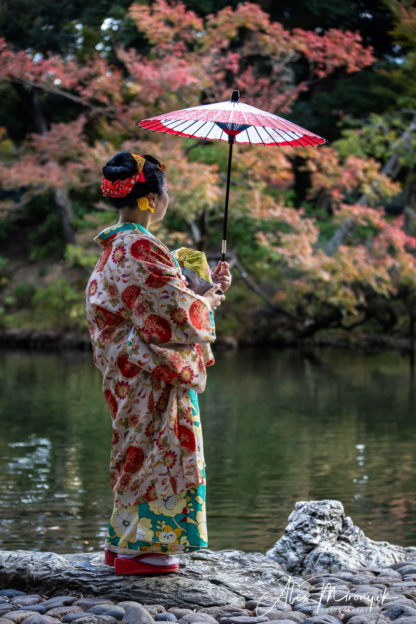 Autumn Colors of Japan. Pet, Senior, Landscape, portrait studio, photographer in Miami and Sou