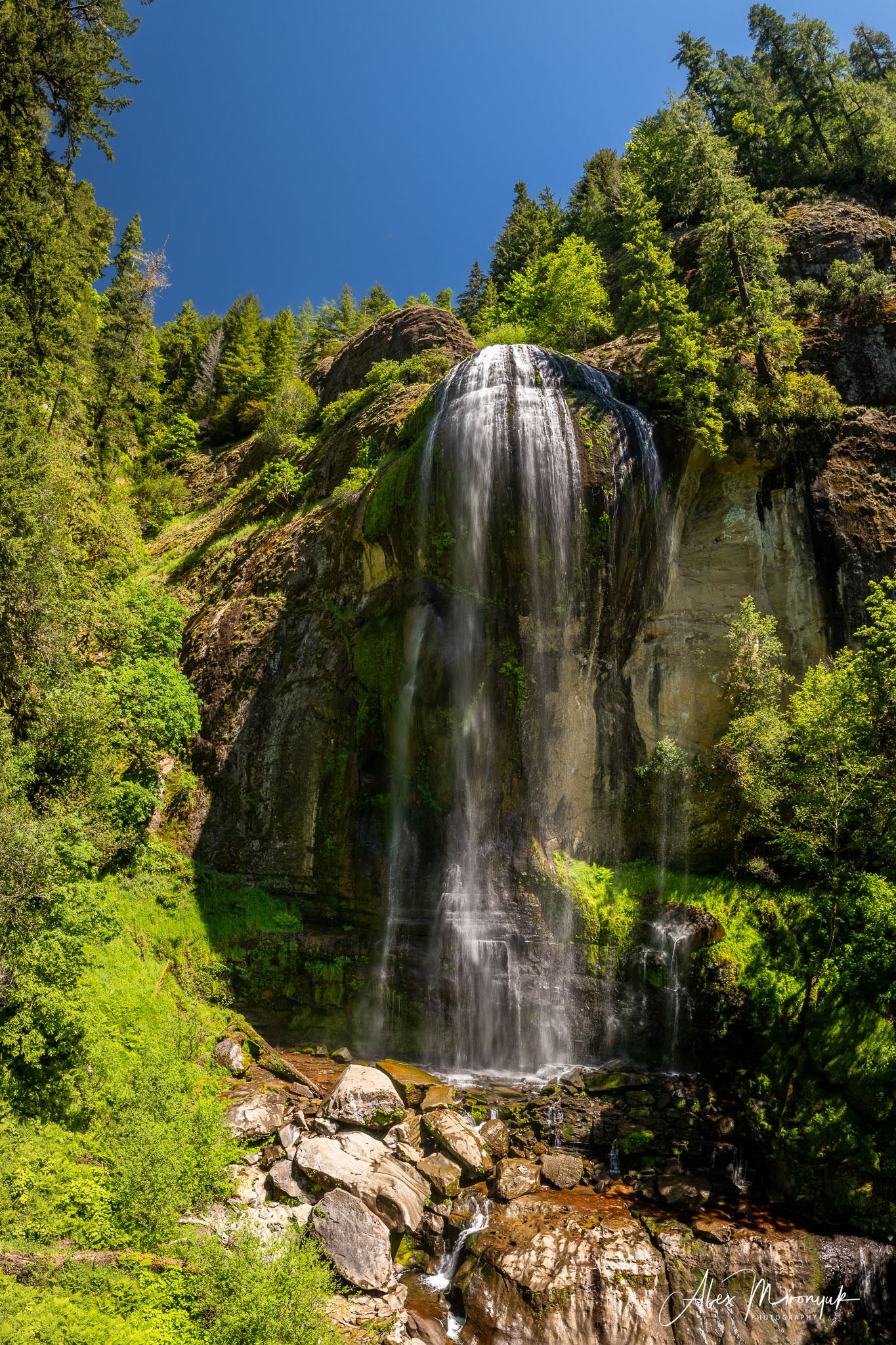 From Crater Lake to the Coast — A Photographer’s Journey. Pet, Senior, Landscape, portrait studio, photographer in Miami and Sou