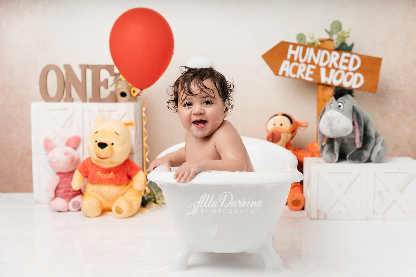 Winnie The Pooh cake smash session. Newborn and family photographer. Hills District. Sydney
