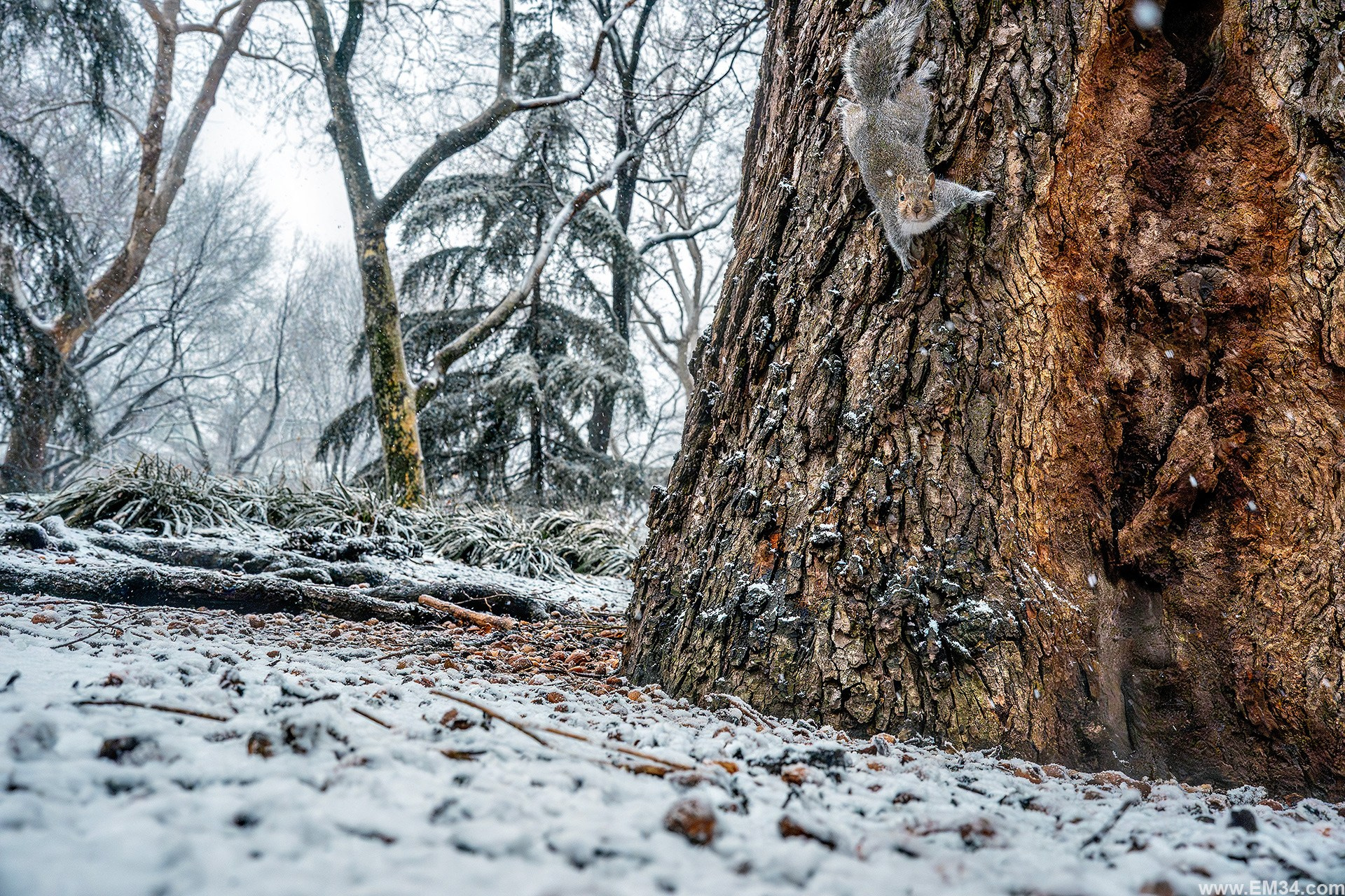 Manhattan Snowfall Street Photography — Wall Street to Brooklyn Bridge, Quiet Winter Mood Before NYC Snowstorm. Emin Kuliyev — Award-Winning Wedding Photojournalist NYC & USA | Best Wedding Photographer Known for Candid, Timeless Moments