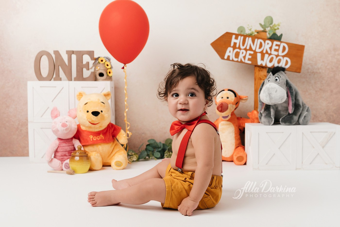 Winnie The Pooh cake smash session. Newborn and family photographer. Hills District. Sydney