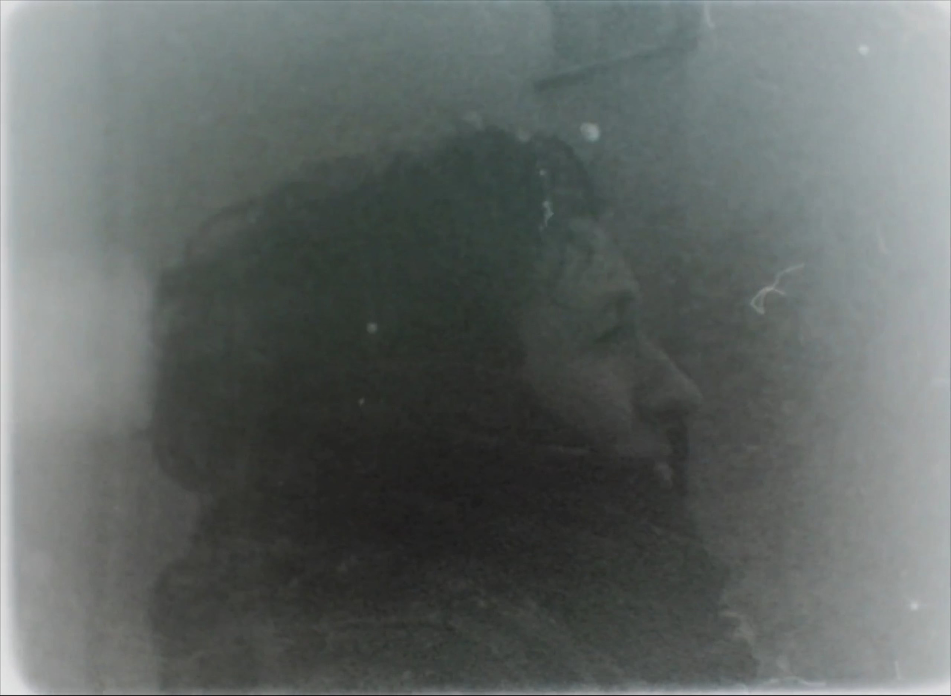 Dislocations. Singularity Film