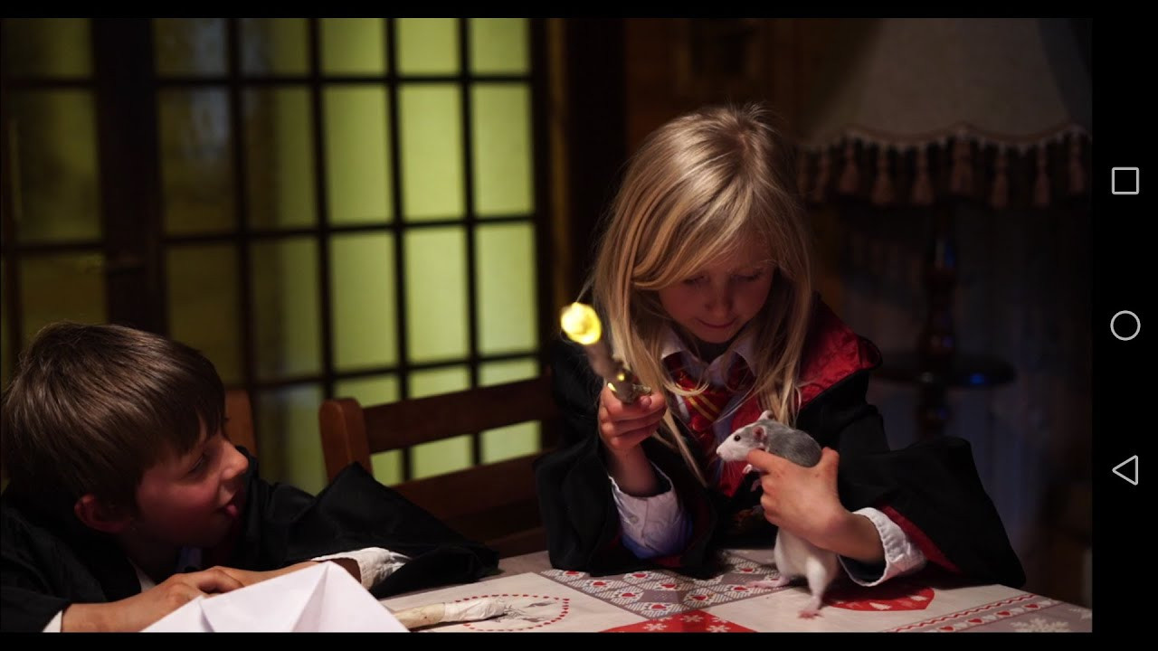 Семейный лагерь «Волшебники на каникулах». Семейные лагеря в Европе с Ниной Янечковой и Ириной Зиновьевой