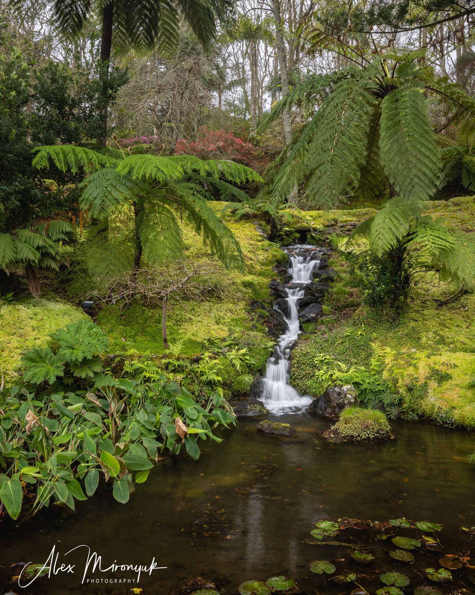 Azores And Madeira. Alex Mironyuk Photography